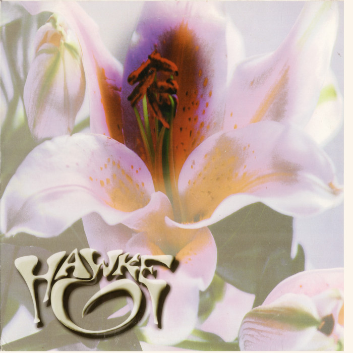 Front cover of the Hawke Erections From Namaquadisco volume 2 EP