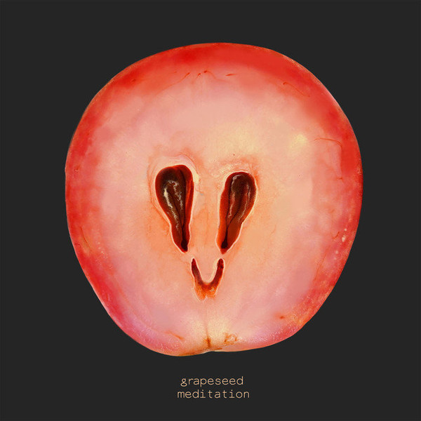 Cover image for Gavin Hardkiss Grapeseed Meditation